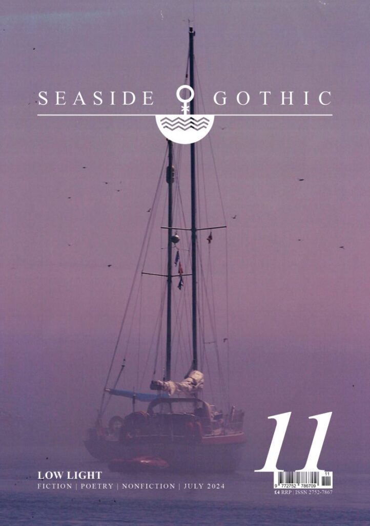 Seaside Gothic Issue 11 which is purple with a sailboat on the cover.